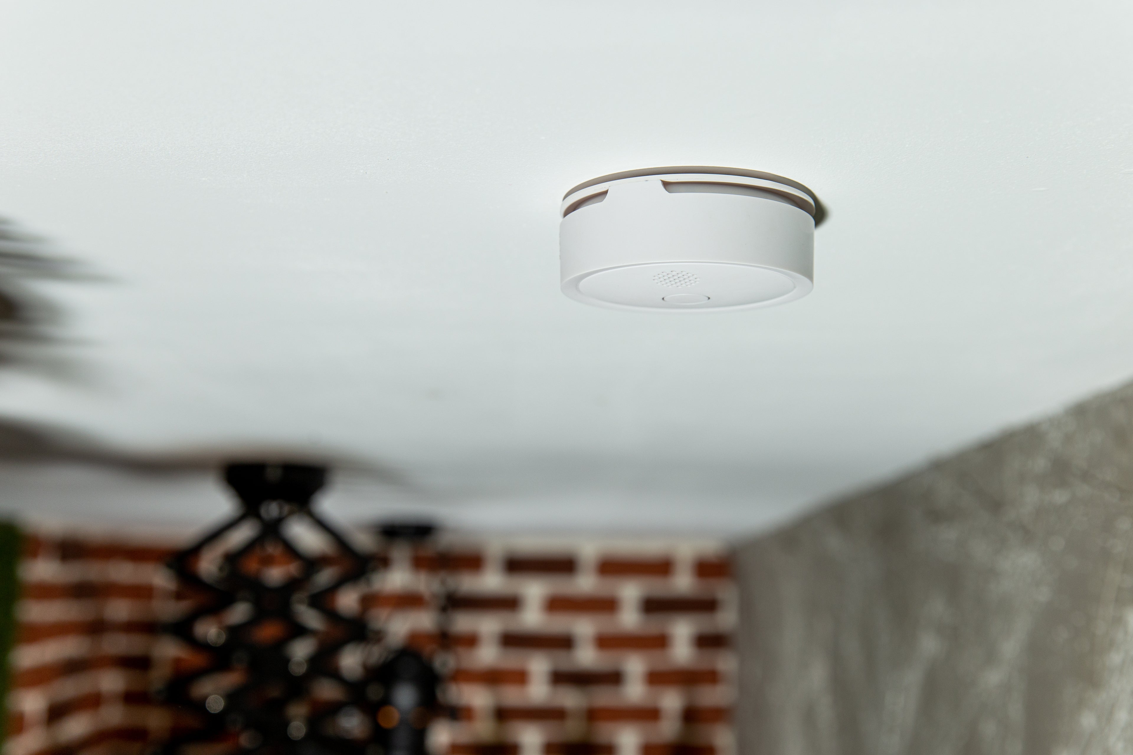Shelly Plus Smoke Alarm